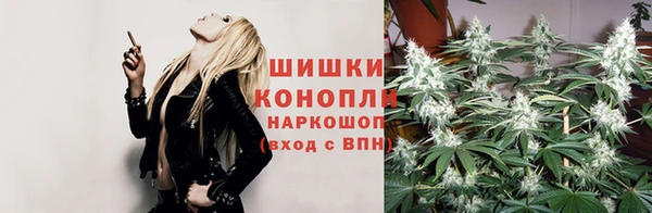 молекула духа Алзамай