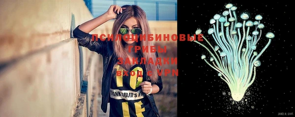 сатива Абинск