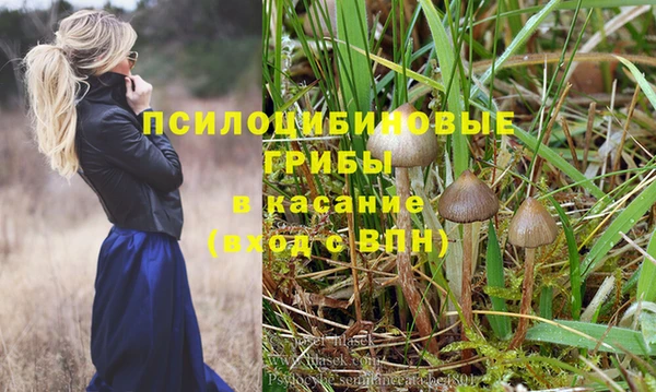 сатива Абинск