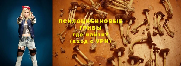 прущий лед Абаза